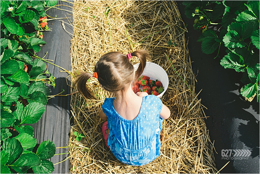 Children-picking-strawberries