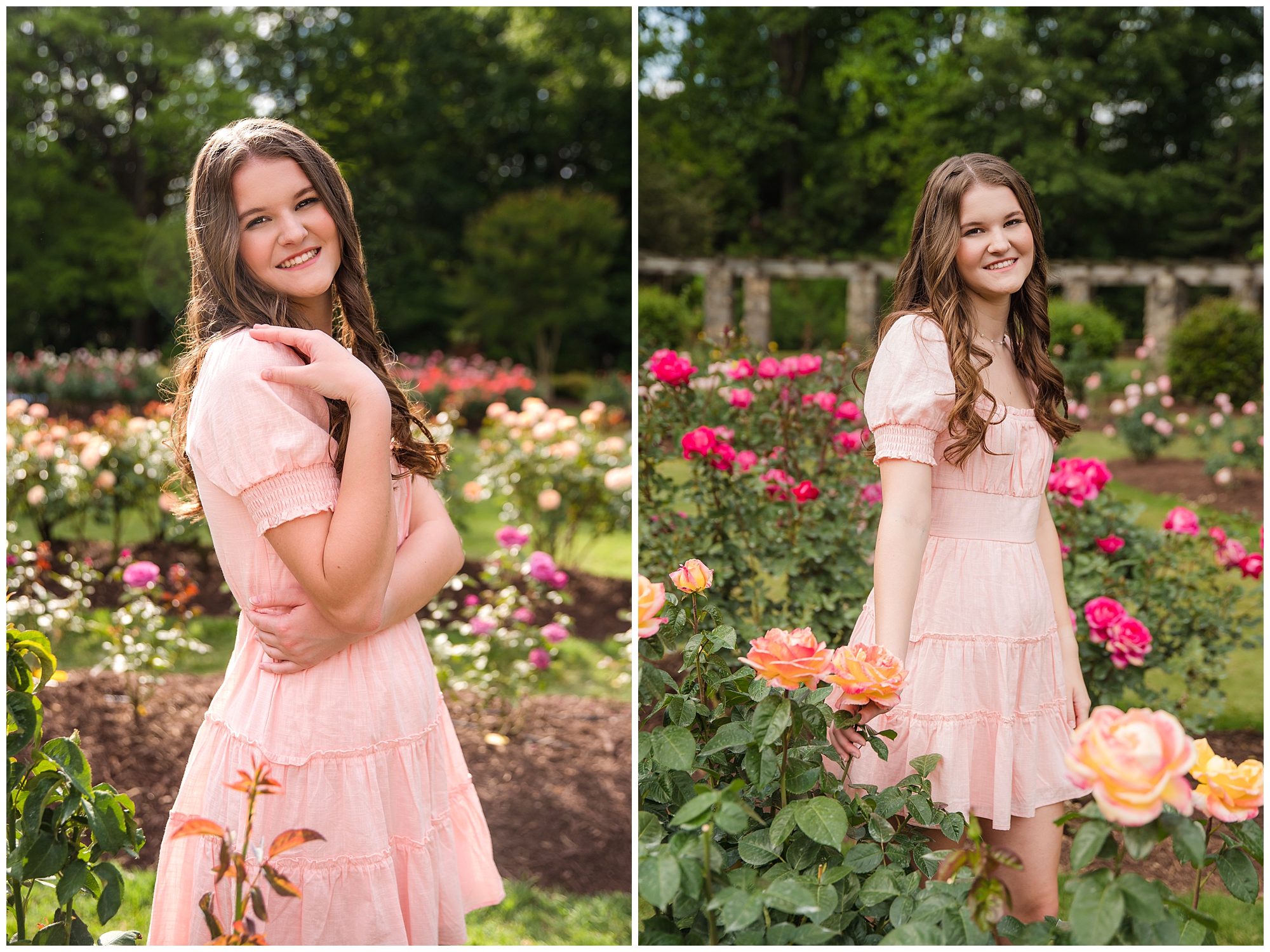senior girl in the rose garden