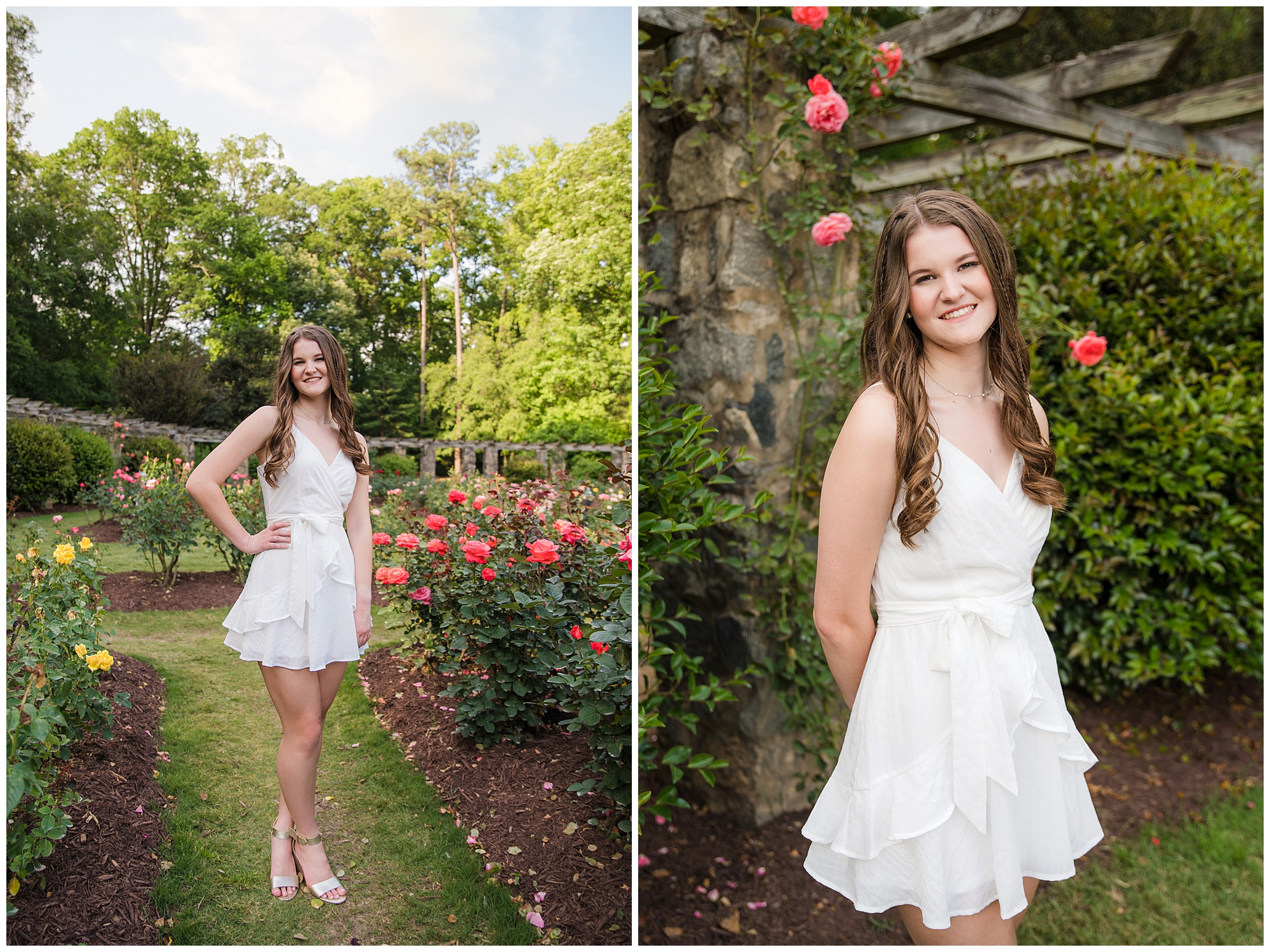 senior girl in the rose garden